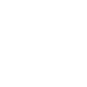 Gaelen Stern Enterprises logo